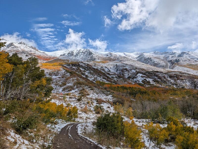 Fall Snow Trees in full fall colors with a dusting of snow in the Wasatch Mountains, Utah